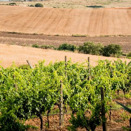 Rascioni & Cecconello Fonteblanda